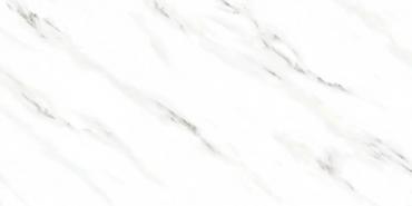 QP55100