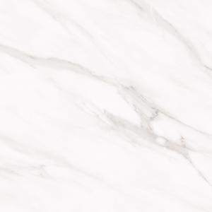 ICM66039