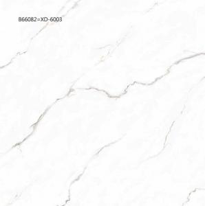 B66082
